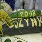 zdjęcie nr 113