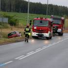 Fotka nr 1 z 9