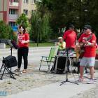 zdjęcie nr 12