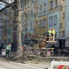 Fotka nr 2 z 14