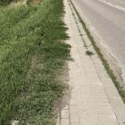 zdjęcie nr 22