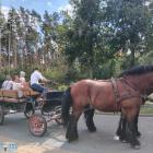 zdjęcie nr 14