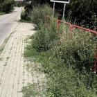 Fotka nr 0 z 26
