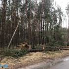 zdjęcie nr 29