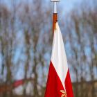 zdjęcie nr 212
