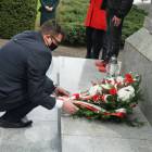 zdjęcie nr 17