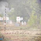 Fotka nr 2 z 4
