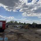 Fotka nr 3 z 15