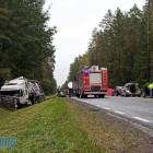 Fotka nr 2 z 10