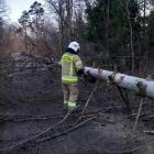 zdjęcie nr 13