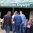 zdjęcie nr 31