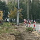 zdjęcie nr 11