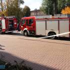 Fotka nr 5 z 21
