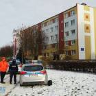 Fotka nr 4 z 14