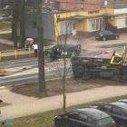 Fotka nr 1 z 8