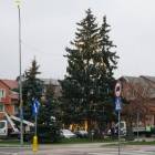 zdjęcie nr 10