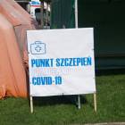 zdjęcie nr 10