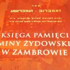 zdjęcie nr 11