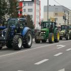 zdjęcie nr 20