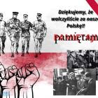 Fotka nr 5 z 8