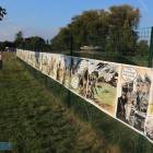 zdjęcie nr 22