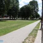 zdjęcie nr 11