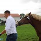 zdjęcie nr 39