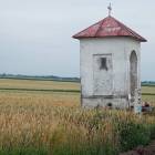 zdjęcie nr 63