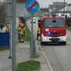 Fotka nr 4 z 18