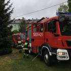 zdjęcie nr 12
