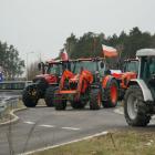 zdjęcie nr 84