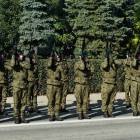 Fotka nr 5 z 225