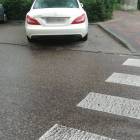 zdjęcie nr 11