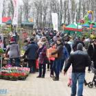 zdjęcie nr 21
