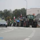 Fotka nr 4 z 51