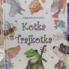 zdjęcie nr 17