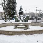 zdjęcie nr 7