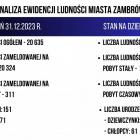 zdjęcie nr 43