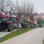 zdjęcie nr 99