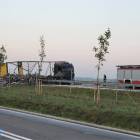 Fotka nr 1 z 12