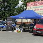 zdjęcie nr 302