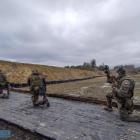 Fotka nr 5 z 11