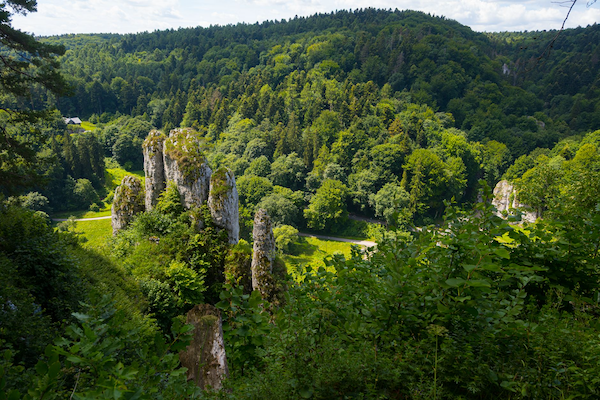 ojców