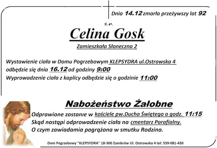Celina  Gosk