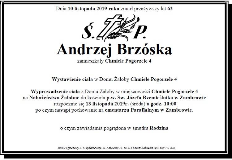 Andrzej Brzóska