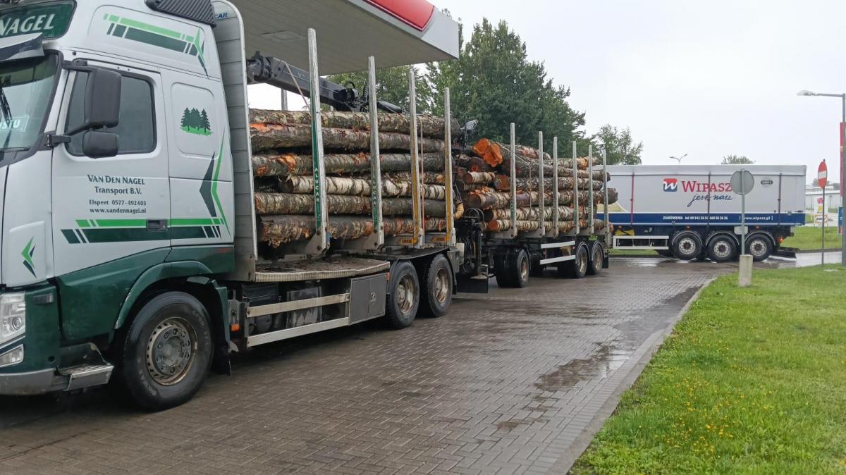
Skupujemy papierówkę, paletówkę i dłużycę....