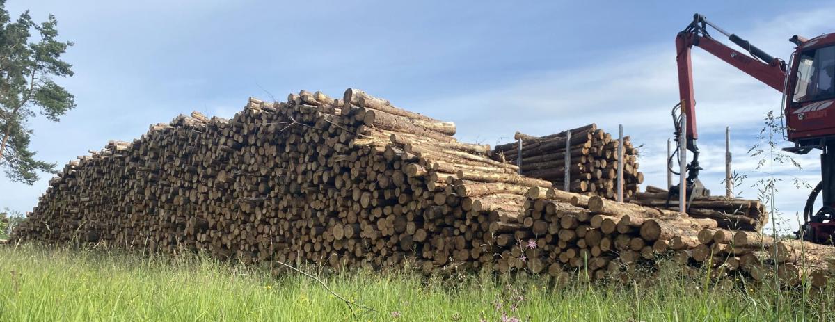 
Skupujemy papierówkę, paletówkę i dłużycę....