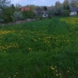zdjęcie nr 
