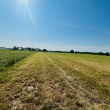 zdjęcie nr 