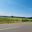 zdjęcie nr 